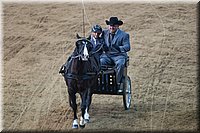 4H-State-2016-0066.jpg