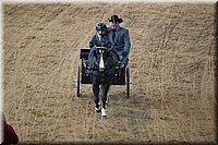 4H-State-2016-0068.jpg