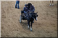 4H-State-2016-0073.jpg