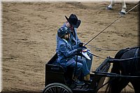 4H-State-2016-0077.jpg