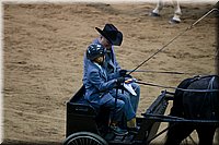 4H-State-2016-0078.jpg