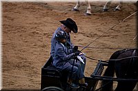 4H-State-2016-0081.jpg