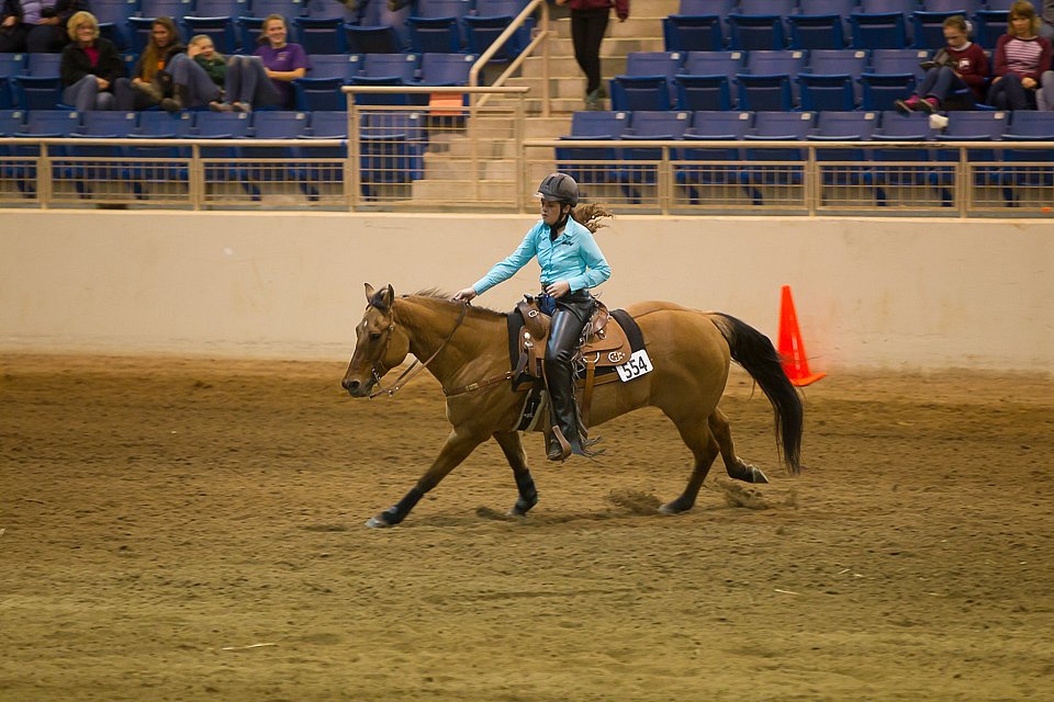 4H-State-2016-0757.jpg