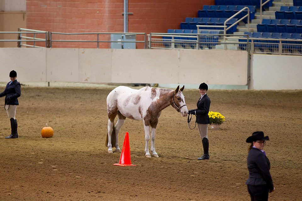 4H-State-2016-1101.jpg