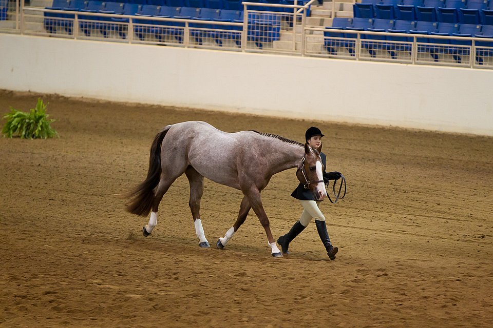 4H-State-2016-1122.jpg