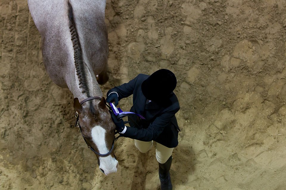 4H-State-2016-1162.jpg