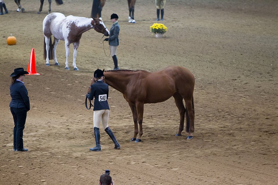 4H-State-2016-1200.jpg