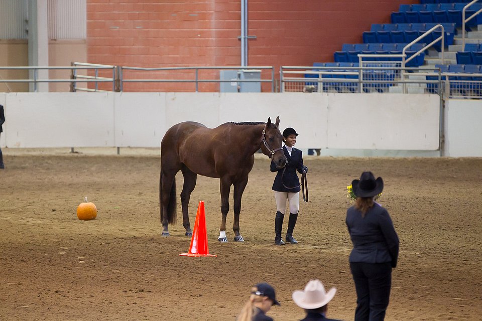 4H-State-2016-1211.jpg