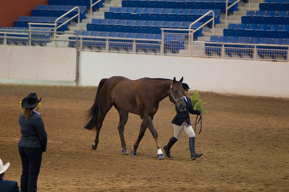 4H-State-2016-1212.jpg