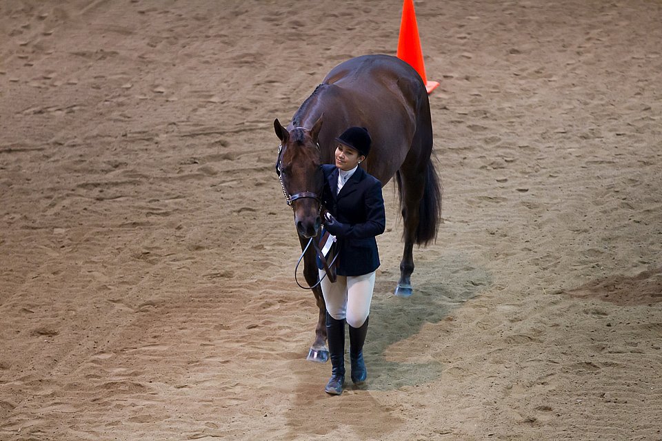 4H-State-2016-1231.jpg