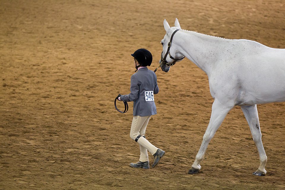 4H-State-2016-1295.jpg