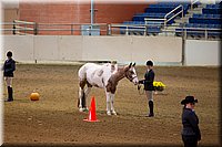 4H-State-2016-1101.jpg