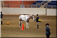 4H-State-2016-1102.jpg