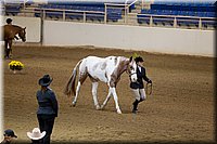 4H-State-2016-1103.jpg