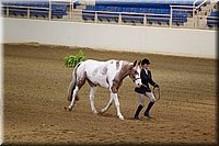 4H-State-2016-1104.jpg