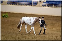 4H-State-2016-1105.jpg