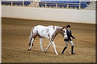4H-State-2016-1106.jpg