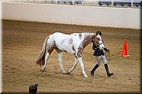 4H-State-2016-1107.jpg