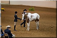 4H-State-2016-1111.jpg