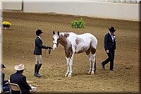 4H-State-2016-1112.jpg