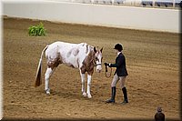 4H-State-2016-1114.jpg