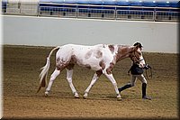 4H-State-2016-1118.jpg