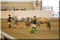 4H-State-2016-1119.jpg