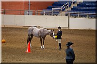 4H-State-2016-1120.jpg