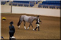 4H-State-2016-1121.jpg