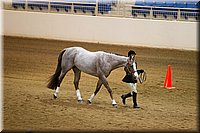 4H-State-2016-1124.jpg