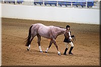 4H-State-2016-1125.jpg