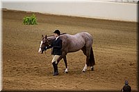 4H-State-2016-1128.jpg