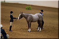 4H-State-2016-1130.jpg