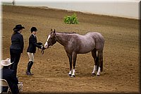 4H-State-2016-1131.jpg