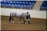 4H-State-2016-1134.jpg