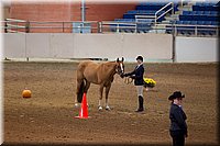 4H-State-2016-1138.jpg