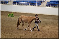 4H-State-2016-1140.jpg