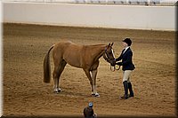 4H-State-2016-1143.jpg