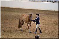 4H-State-2016-1145.jpg