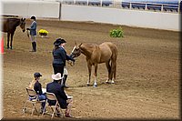 4H-State-2016-1147.jpg