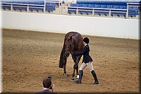 4H-State-2016-1216.jpg