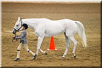 4H-State-2016-1286.jpg