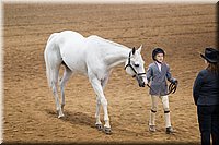 4H-State-2016-1288.jpg