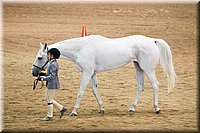 4H-State-2016-1291.jpg