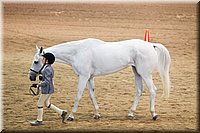 4H-State-2016-1292.jpg