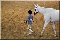 4H-State-2016-1295.jpg