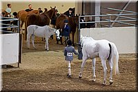 4H-State-2016-1296.jpg