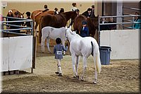 4H-State-2016-1297.jpg