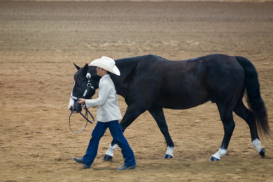 4H-State-2016-1405.jpg