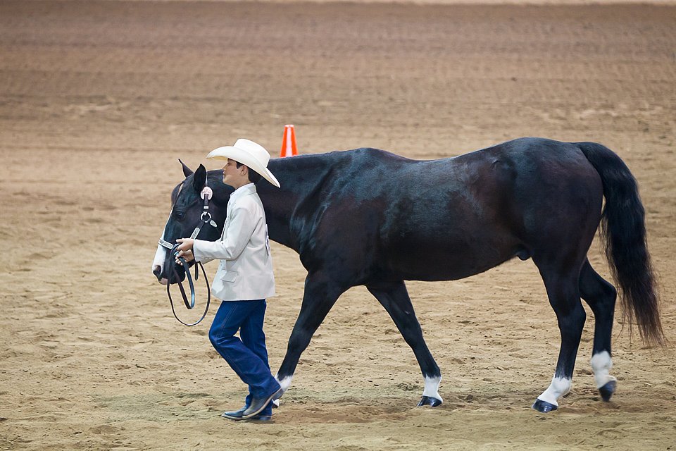 4H-State-2016-1406.jpg